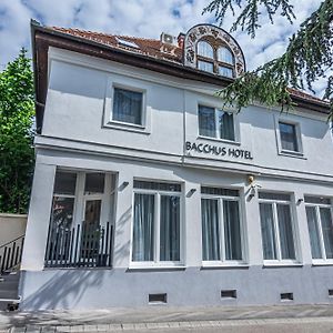 Hotel Bacchus